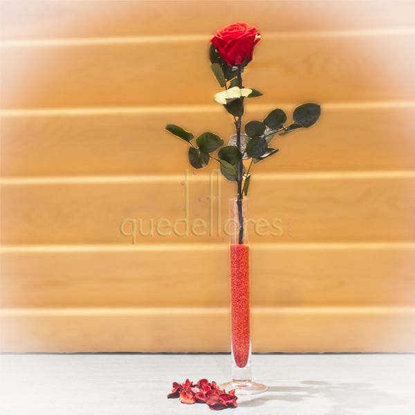 Amor eterno…una rosa que dure en el tiempo